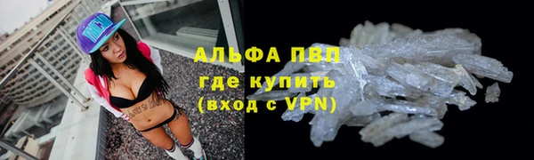 стафф Алексин