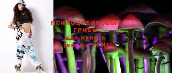 ГАЛЛЮЦИНОГЕННЫЕ ГРИБЫ Алексеевка