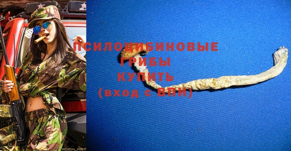 стафф Алексин