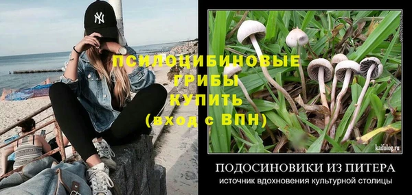 ГАЛЛЮЦИНОГЕННЫЕ ГРИБЫ Алексеевка