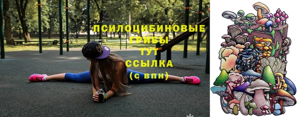 дурь Алзамай