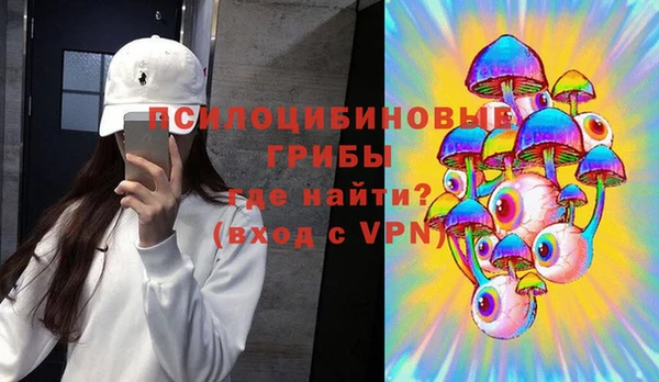 стафф Алексин