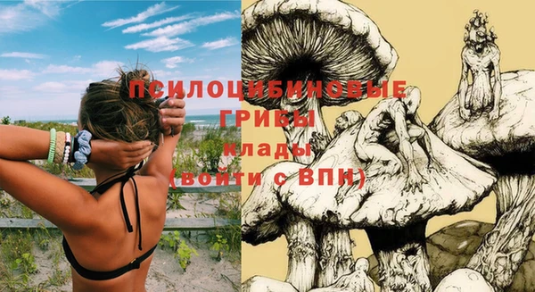 стафф Алексин